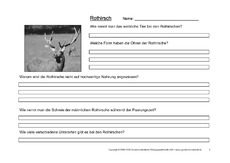 Rothirsch-Fragen-3.pdf